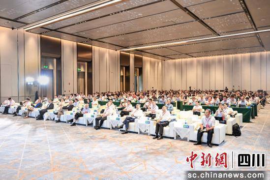 2025興隆湖能源電力高峰對話聚焦構建新型電力系統:電力能源
